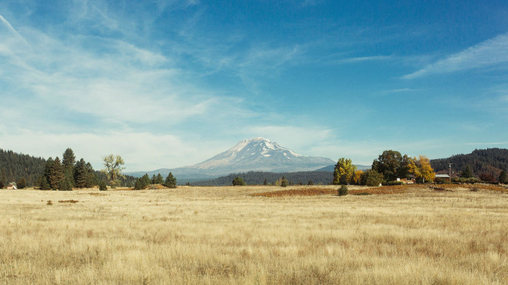 3 Reasons We're Thrilled to be in Oregon