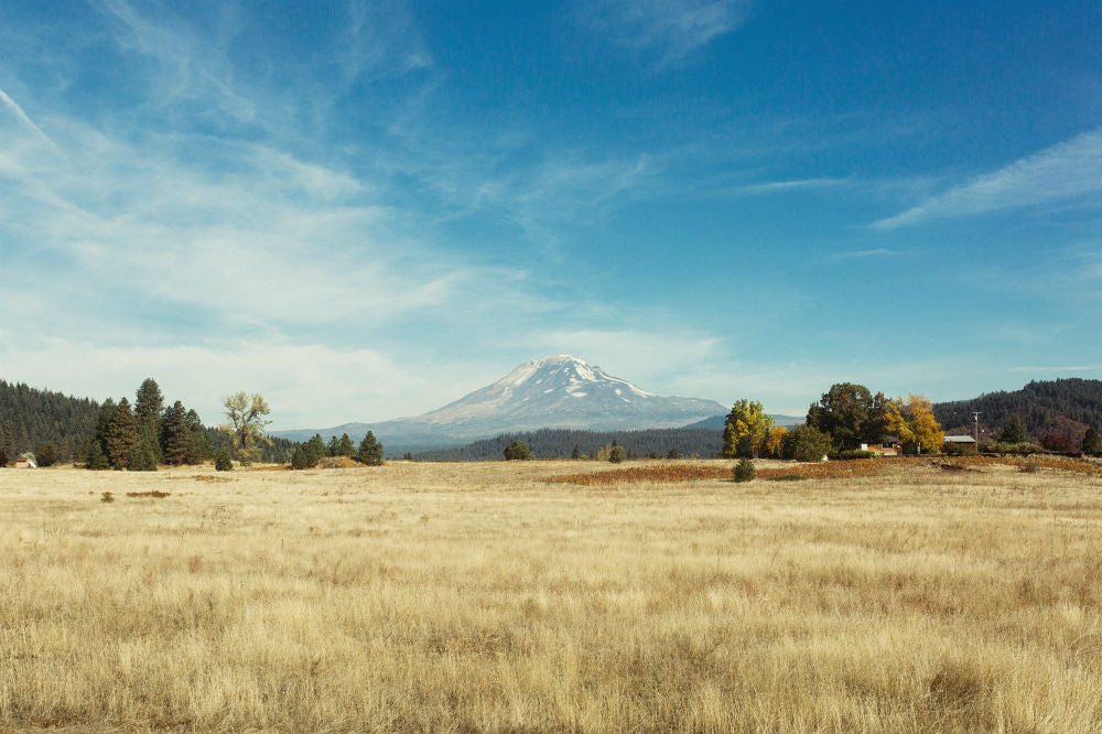 3 Reasons We're Thrilled to be in Oregon