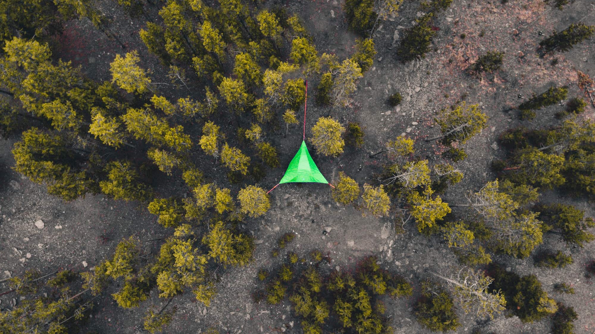 How To ‘Leave No Trace’ While Tree Tent and Hammock Camping