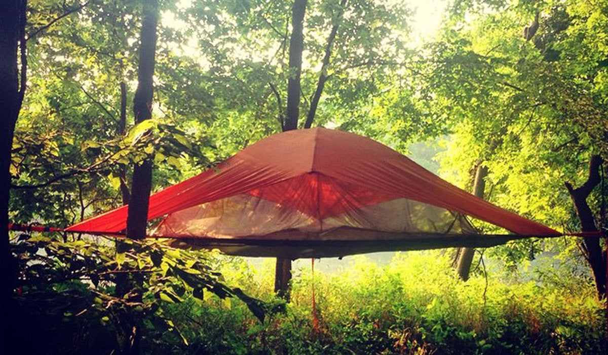3 Ideal Campgrounds For Tree Tent Camping In National Parks