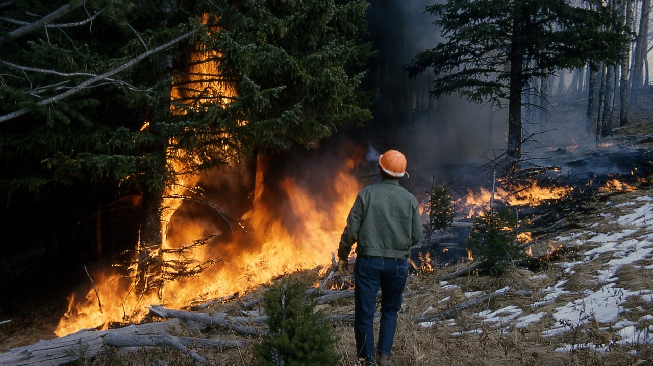 How You Can Help Wildfire Victims This Holiday Season