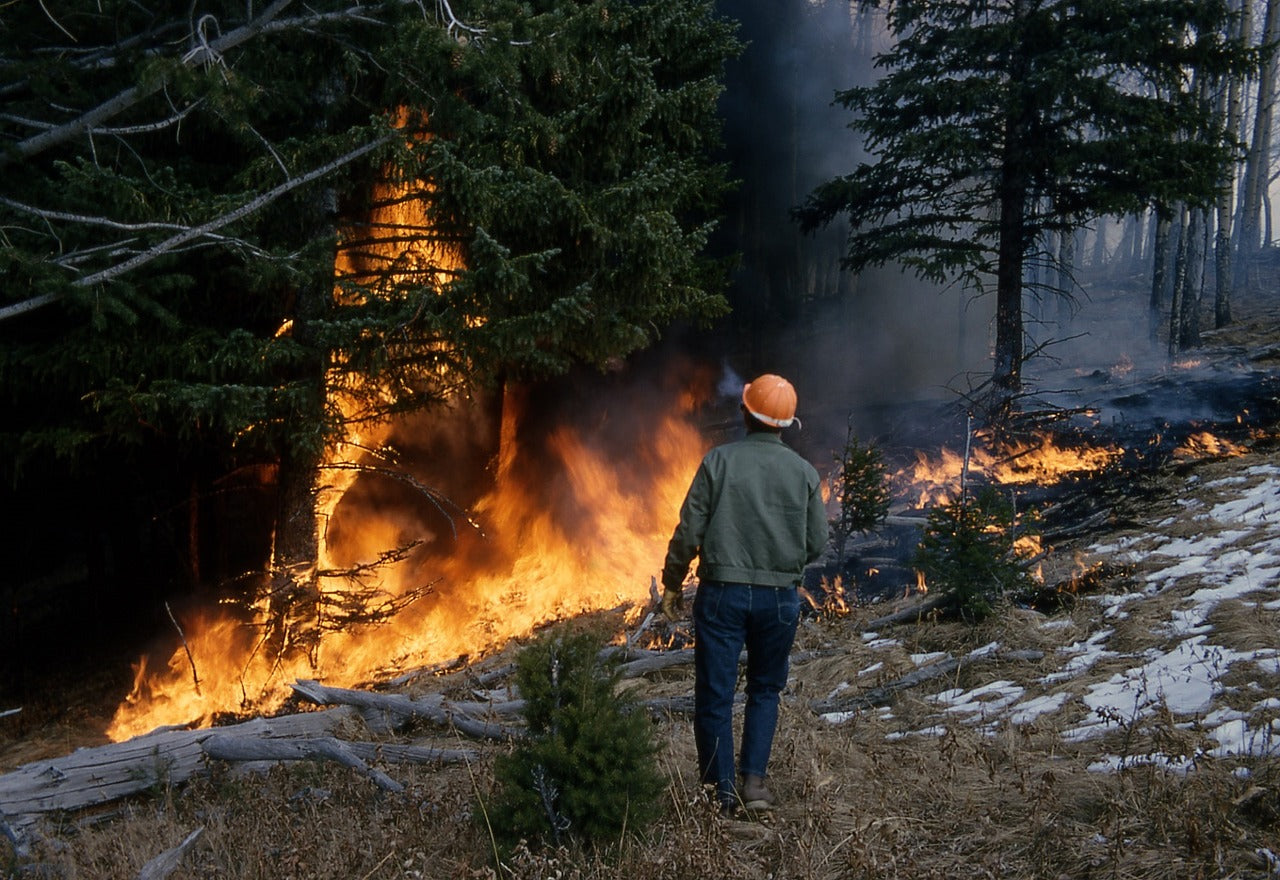 How You Can Help Wildfire Victims This Holiday Season