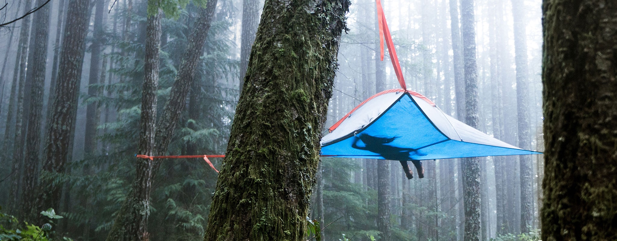 Tentsile | The Original Tree Tent & Camping Hammock Company