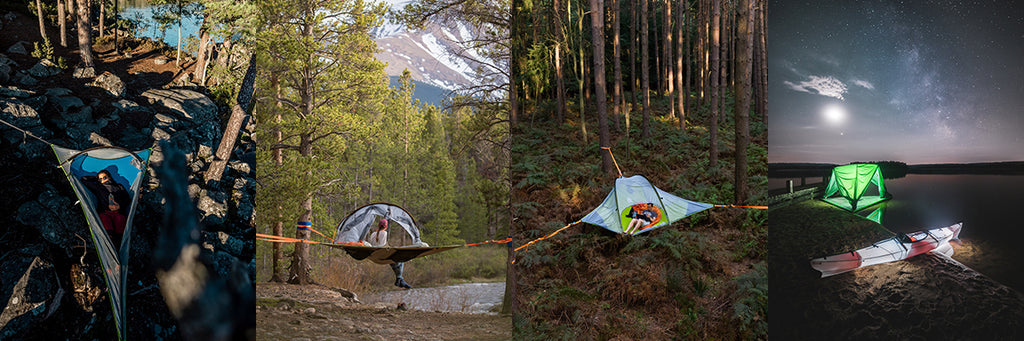 multiple shots of tree tents