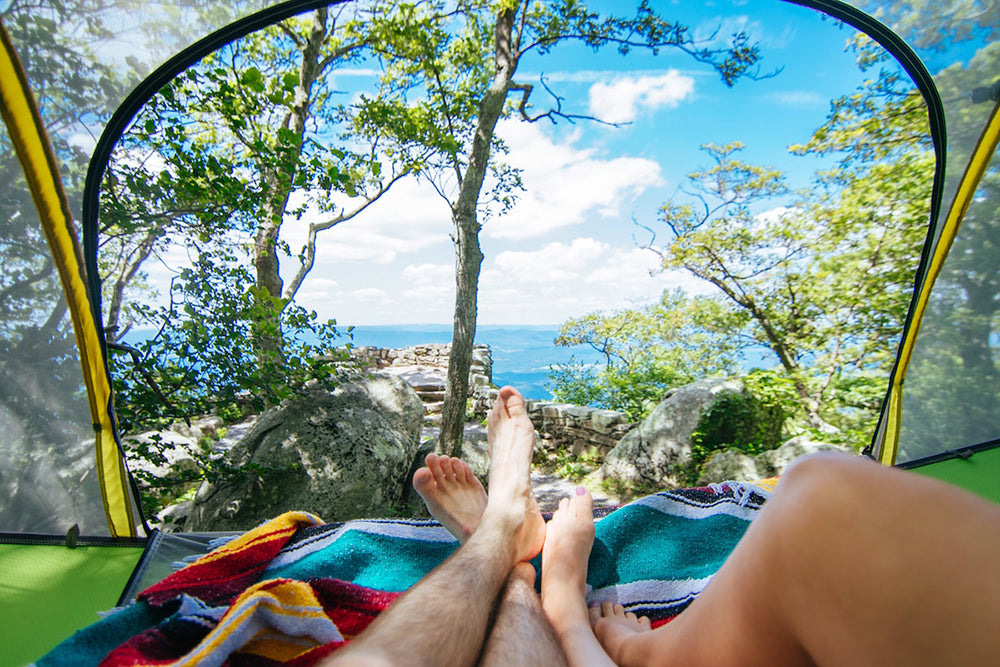sea view from tree tent (4351170936905)