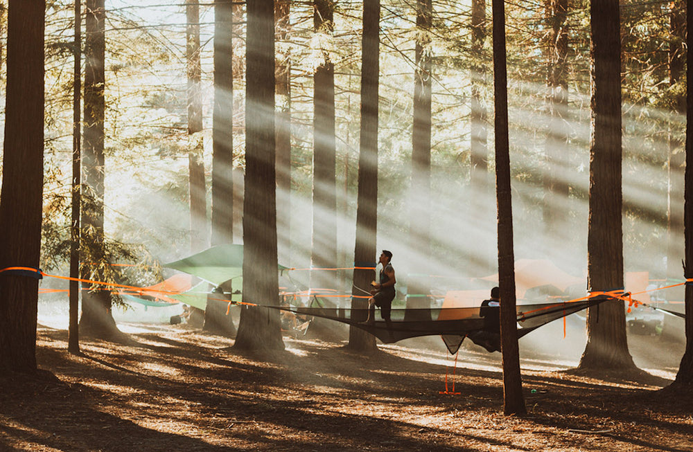 man stood in camping hammock in forest (4373048033353)