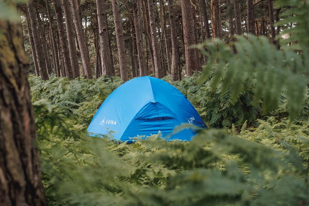 Luna tent in forest (6649448792137)