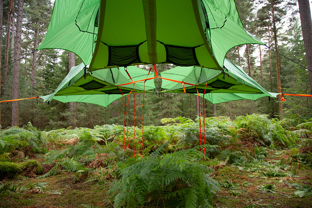 Trilogy 6 Person Super Tree Tent
